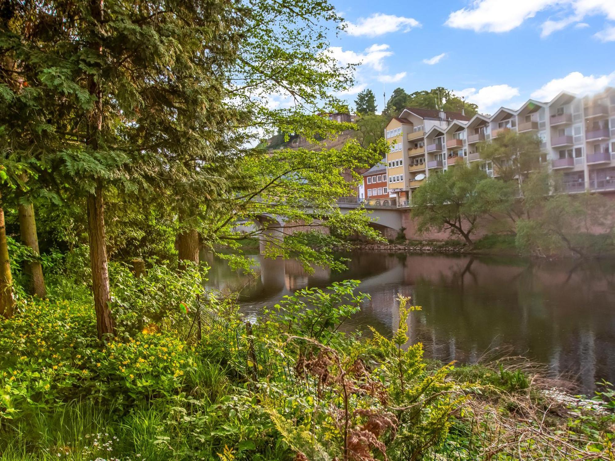 Apart You I Oldtown River Retreat #1 Bad Kreuznach Buitenkant foto